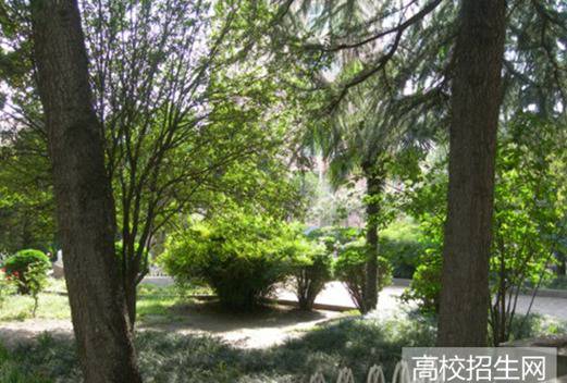 平頂山工業(yè)職業(yè)技術(shù)學(xué)院