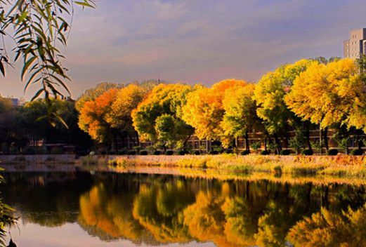 東風(fēng)高級技工學(xué)校