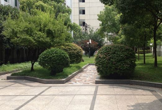 武漢航海職業(yè)技術(shù)學(xué)院