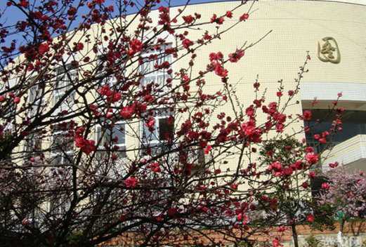 武漢機(jī)電工程學(xué)校