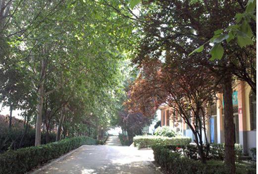 鄭州亞圣科技中等專業(yè)學(xué)校