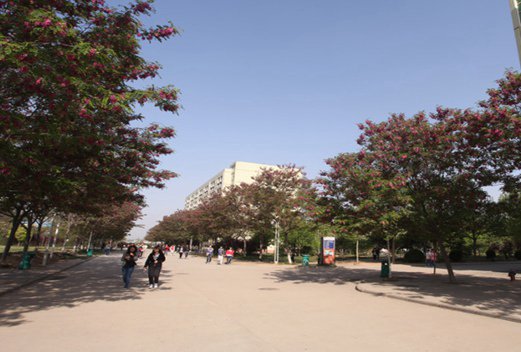 河南工業(yè)貿(mào)易職業(yè)學(xué)院