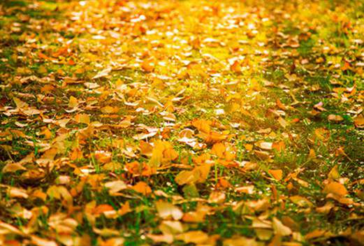 武漢東西湖職業(yè)技術(shù)學(xué)校