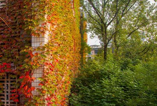 武漢東西湖職業(yè)技術(shù)學(xué)校