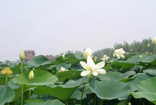 武漢東西湖職業(yè)技術(shù)學(xué)校