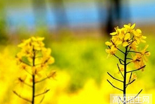 濱州職業(yè)學院