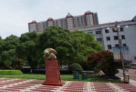 湖南信息職業(yè)技術學院