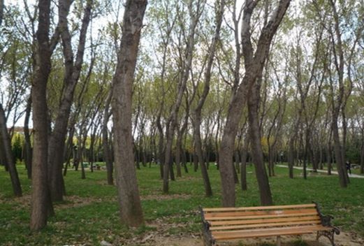 山東協(xié)和學院成人教育學院