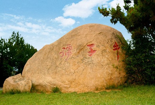 山東協(xié)和學院成人教育學院