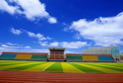 湖南汽車工程職業(yè)學(xué)院