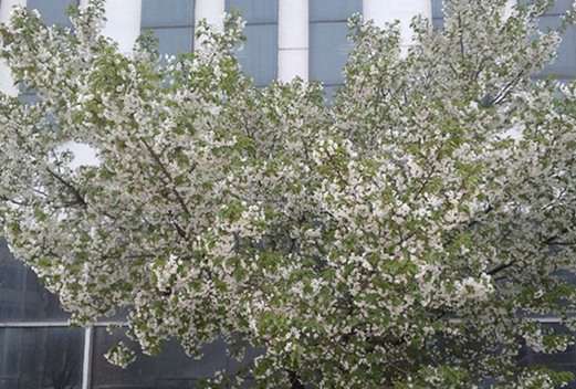 濰坊工程職業(yè)學(xué)院