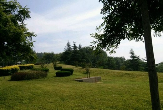 濰坊工程職業(yè)學(xué)院