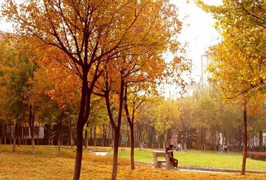 青島求實職業(yè)技術(shù)學院