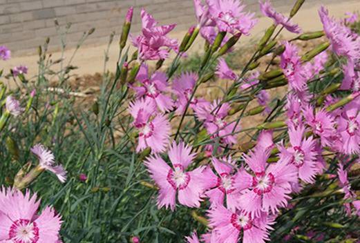 鄭州旅游職業(yè)學(xué)院