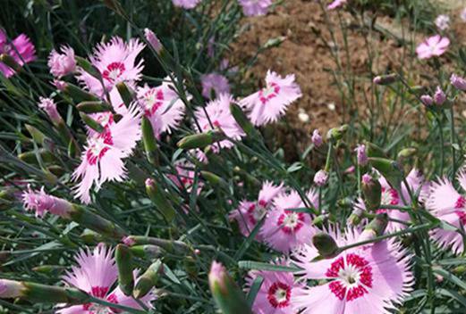 鄭州旅游職業(yè)學(xué)院