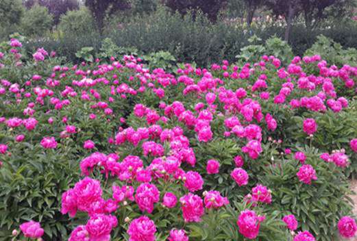 鄭州旅游職業(yè)學(xué)院