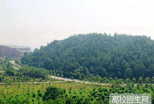 湖南工業(yè)職業(yè)技術(shù)學(xué)院