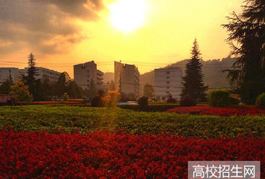 懷化職業(yè)技術(shù)學(xué)院