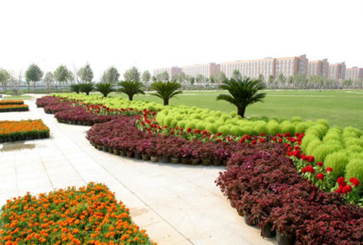 河南煤炭衛(wèi)生學校