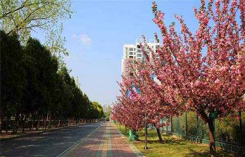 湖北信息工程學(xué)校