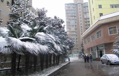 湖北旅游學(xué)校