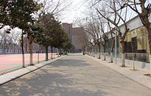 河南電子科技學(xué)校