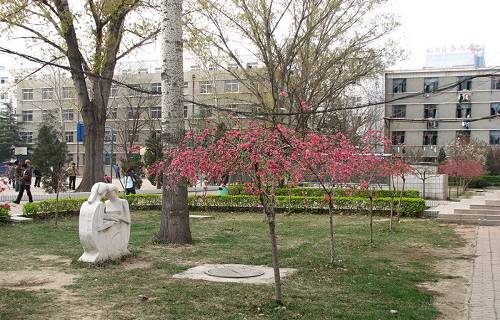 河南三門峽黃金工業(yè)學(xué)校