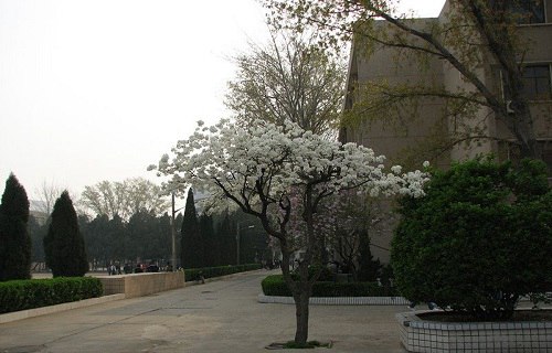 河南三門峽黃金工業(yè)學(xué)校