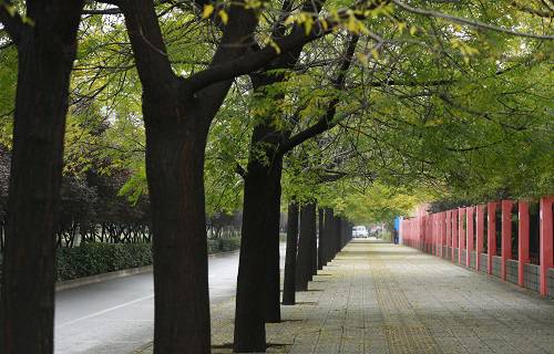 河南省針灸推拿學校