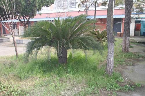 武漢燃?xì)鉄崃W(xué)校