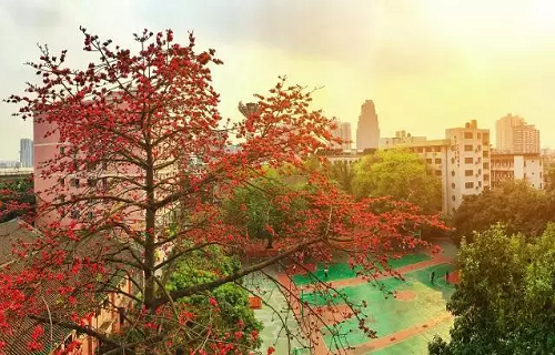 廣東省商業(yè)職業(yè)技術(shù)學校