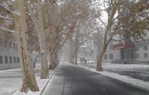 河南農(nóng)業(yè)職業(yè)學(xué)院