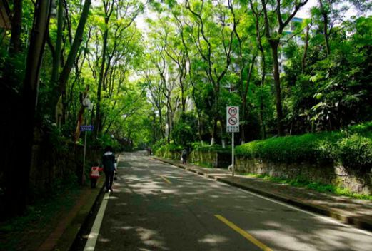 西南大學網(wǎng)絡與繼續(xù)教育學院