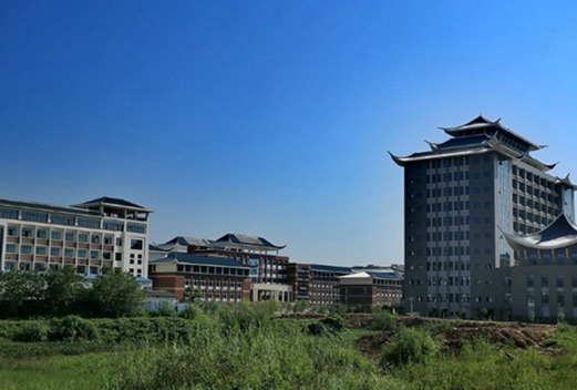 廣西職業(yè)技術(shù)學(xué)院