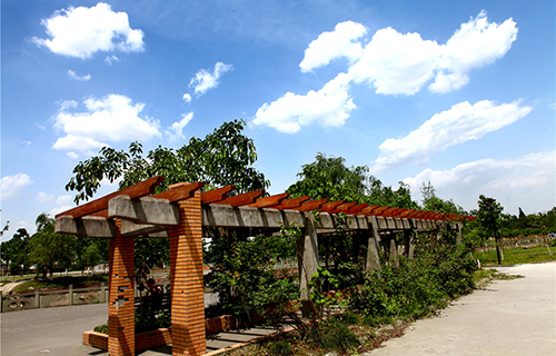 巴中市聯(lián)翔職業(yè)教育學(xué)校