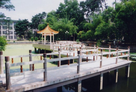 河池衛(wèi)生學校