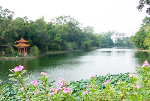 廣西醫(yī)科大學(xué)成人教育