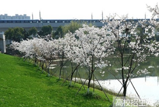 廣西培賢國(guó)際職業(yè)學(xué)院