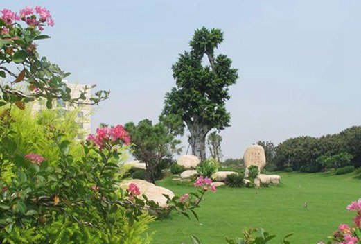 海南省衛(wèi)生學(xué)校