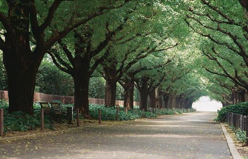 成都廣信數(shù)字技術(shù)職業(yè)學(xué)校