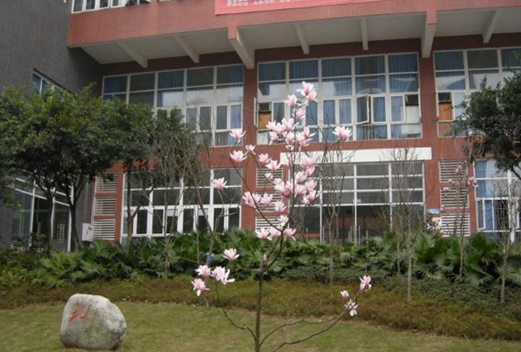 重慶醫(yī)藥高等?？茖W(xué)校