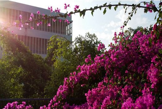 東莞汽車技術(shù)學(xué)校