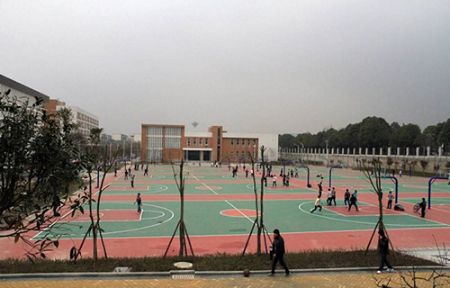 成都市體育運動學校