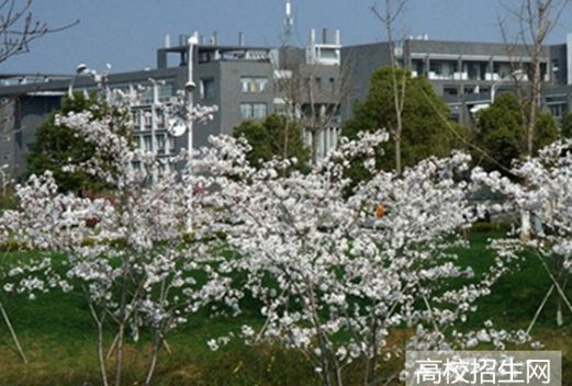 廣西經(jīng)濟(jì)職業(yè)學(xué)院