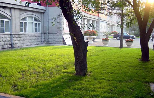 成都鐵路工程學校