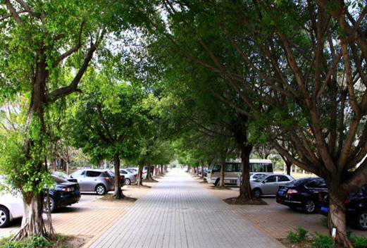 汕頭潮陽區(qū)職業(yè)技術(shù)學校