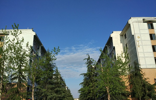 四川愛華職業(yè)學院