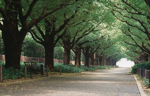 成都五月花高級(jí)技工學(xué)校