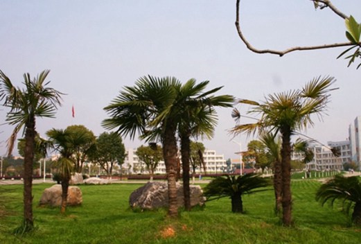 柳州鐵道職業(yè)技術(shù)學(xué)院