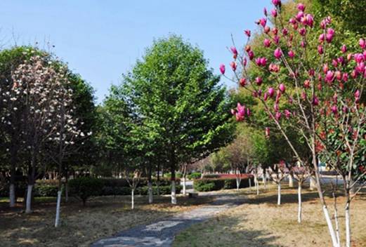 廣西工業(yè)職業(yè)技術(shù)學院